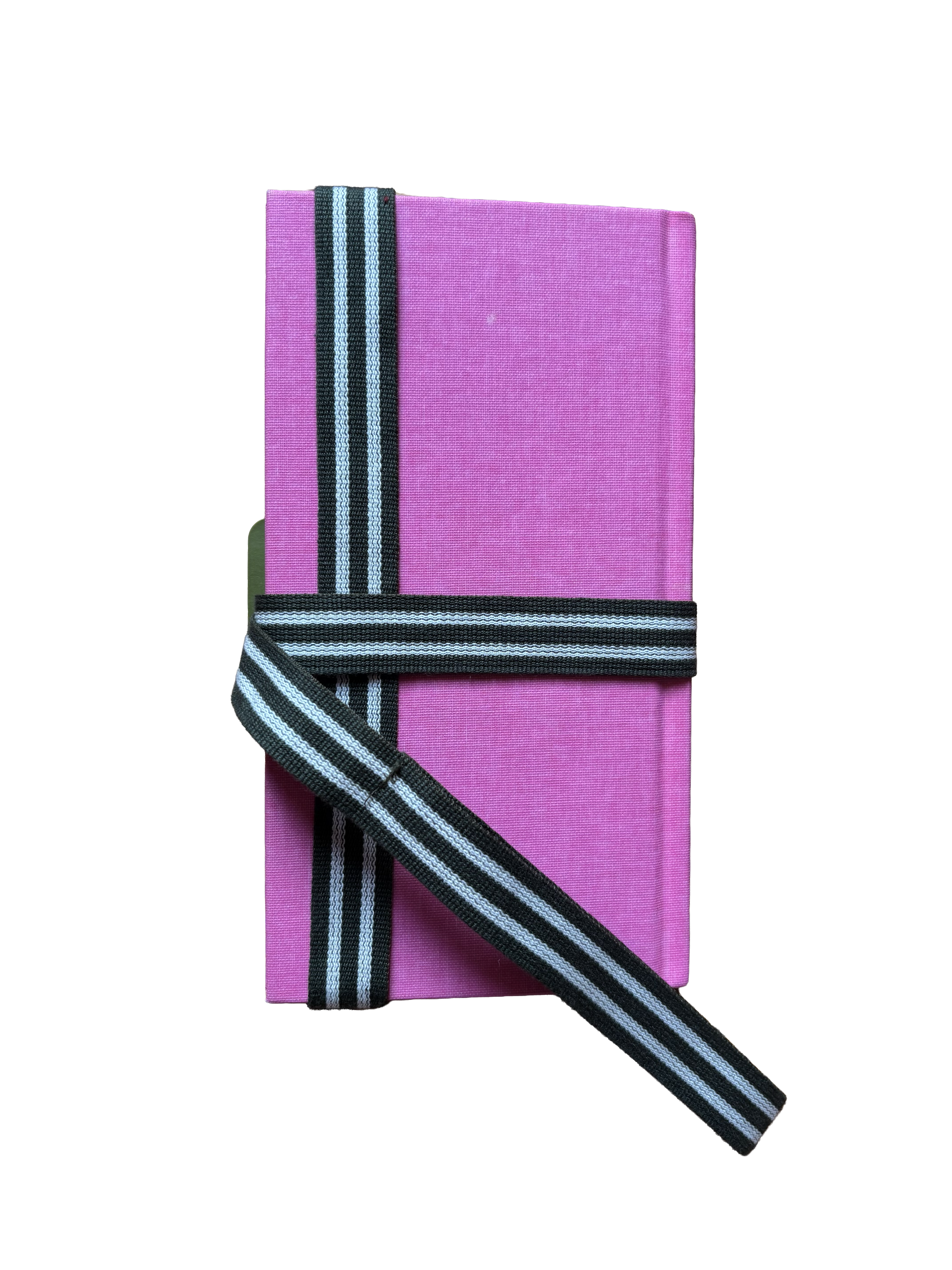 Miu Miu reads book strap